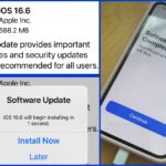 How to update iOS on your iPhone