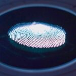 Cops were allowed to force a suspect to use thumbprint to unlock phone, says court