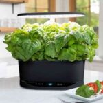 Smart gardening firm’s shutdown a reminder of Internet of Things’ fickle nature