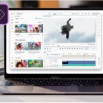 Adobe Premiere Elements 2025 review