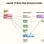 How do APFS volume roles work?