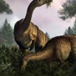 What fossilized dino feces can tell us about their rise to dominance