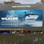 Apple Vision Pro takes you on an immersive dive with tiger sharks eating lunch