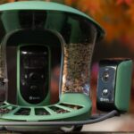 Birdfy Debuts Camera-Equipped Bird Bath and Multi-Camera Bird Feeder