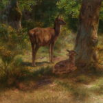 Reading Visual Art: 182 Deer