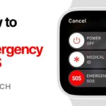 Apple Watch helps responders rescue skier after 1,000-foot drop in freezing temperatures