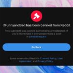 Reddit banned 90+ subreddits ‘accidentally’ but some are worried