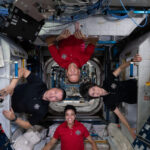 An small microbial ecosystem has formed on the International Space Station