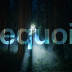 Apple Seeds macOS Sequoia 15.5 Release Candidate