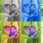 New portal calls out AI content with Google’s watermark