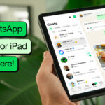 WhatsApp is finally available for iPad (and we mean finally)